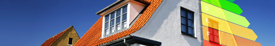 Banner - Peter Braun