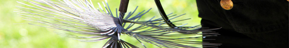 Banner - Peter Braun